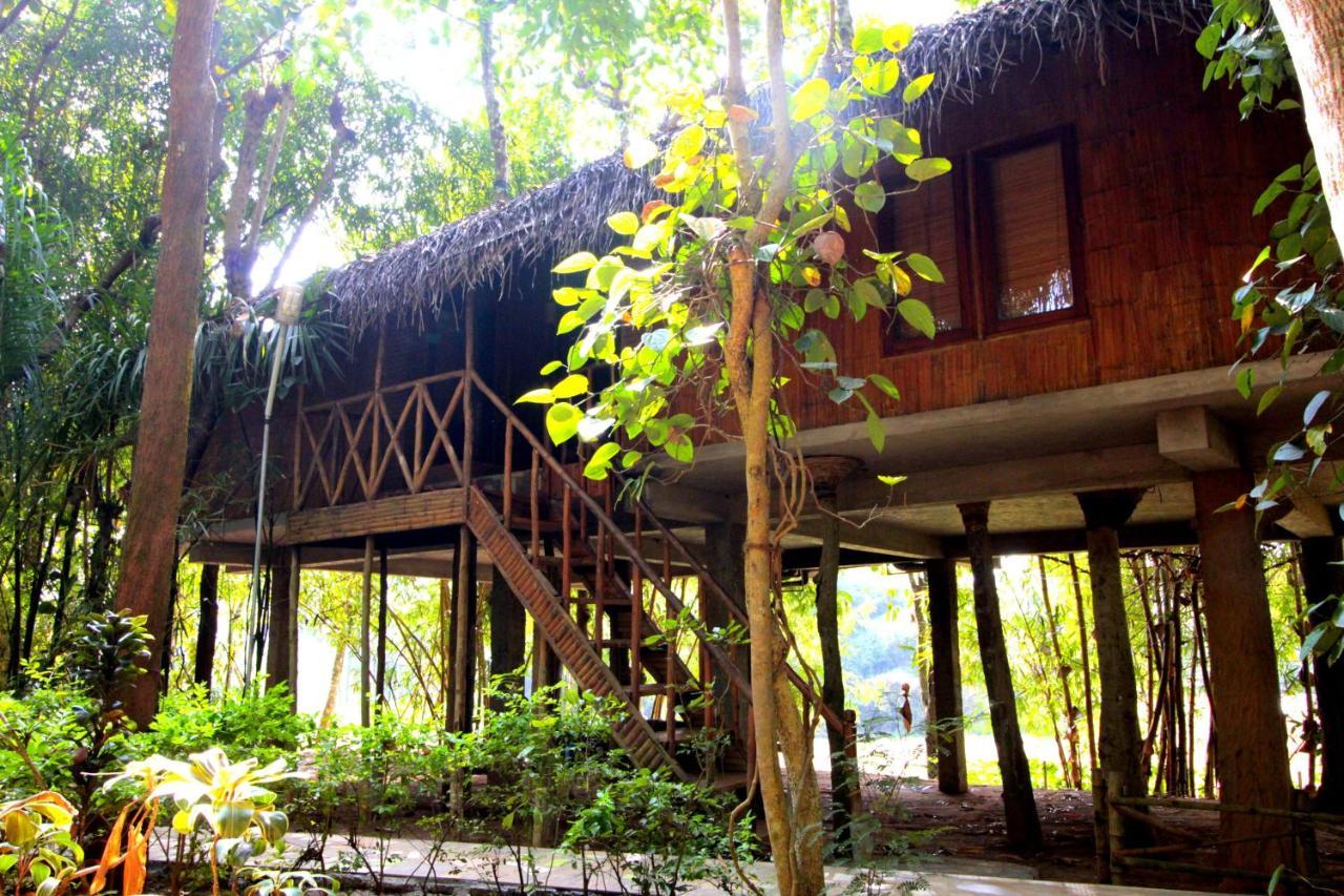 Pepper Green Wayanad Resort With Swimming Pool Kattikkulam Exterior foto