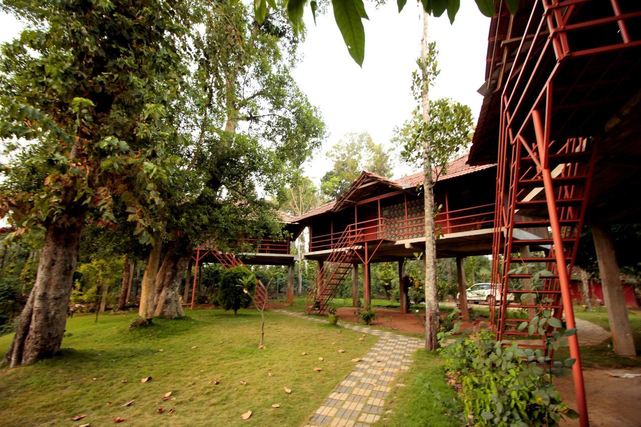 Pepper Green Wayanad Resort With Swimming Pool Kattikkulam Exterior foto