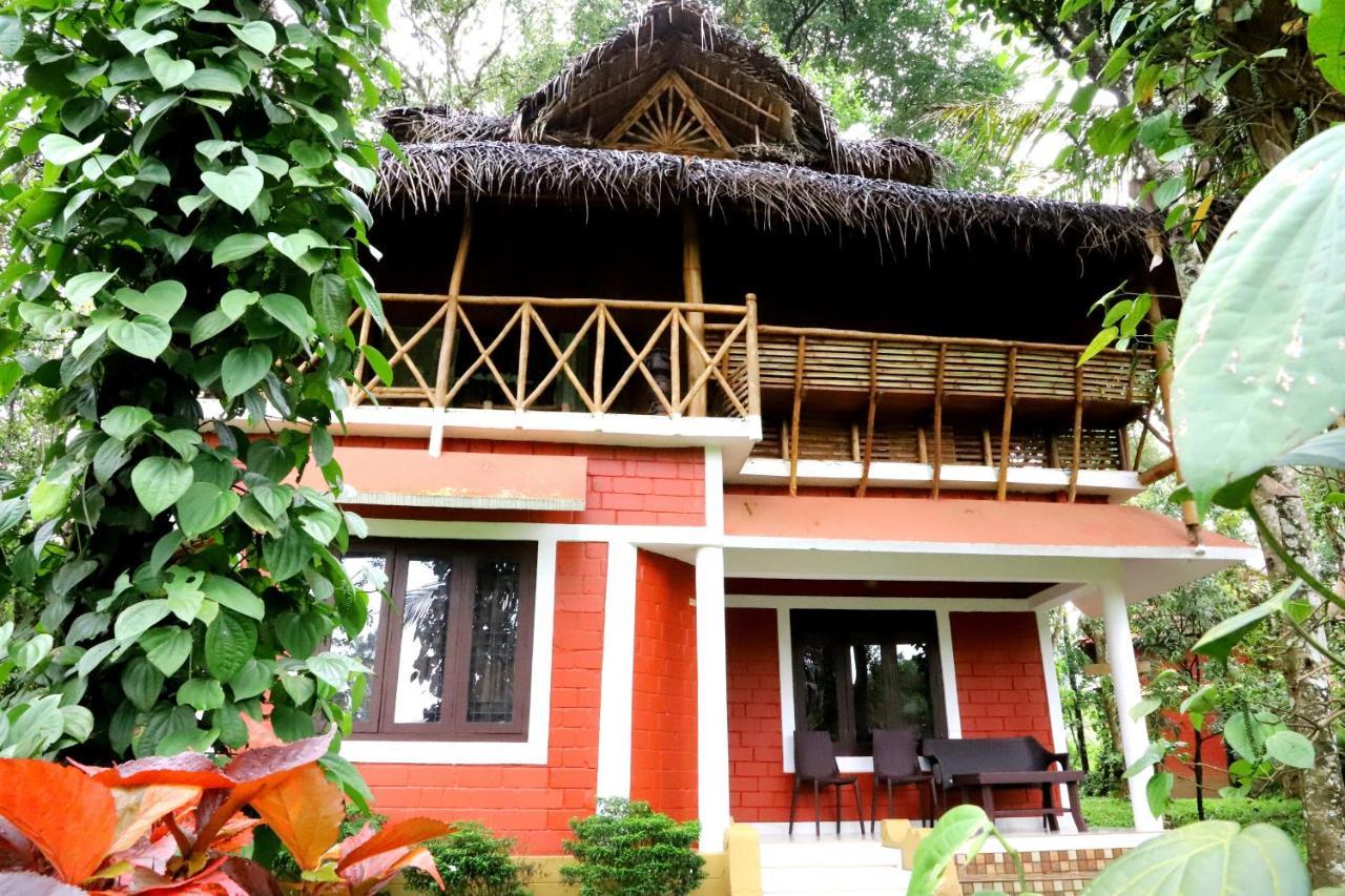 Pepper Green Wayanad Resort With Swimming Pool Kattikkulam Exterior foto