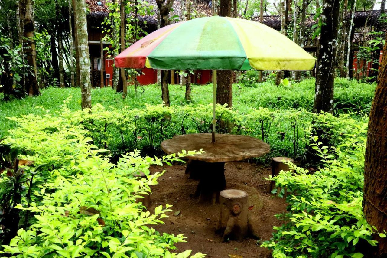 Pepper Green Wayanad Resort With Swimming Pool Kattikkulam Exterior foto