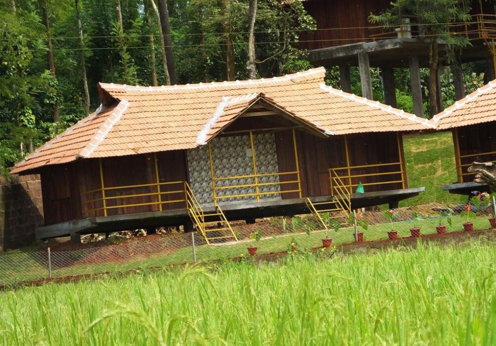 Pepper Green Wayanad Resort With Swimming Pool Kattikkulam Exterior foto